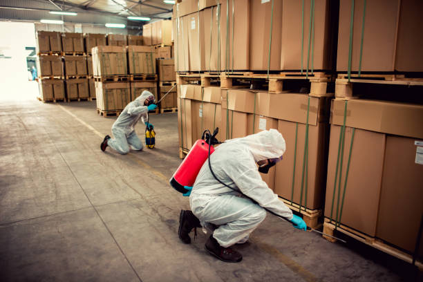 Best Commercial Pest Control Services  in Sebring, FL