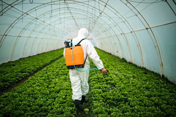 Best Pest Inspection Near Me  in Sebring, FL